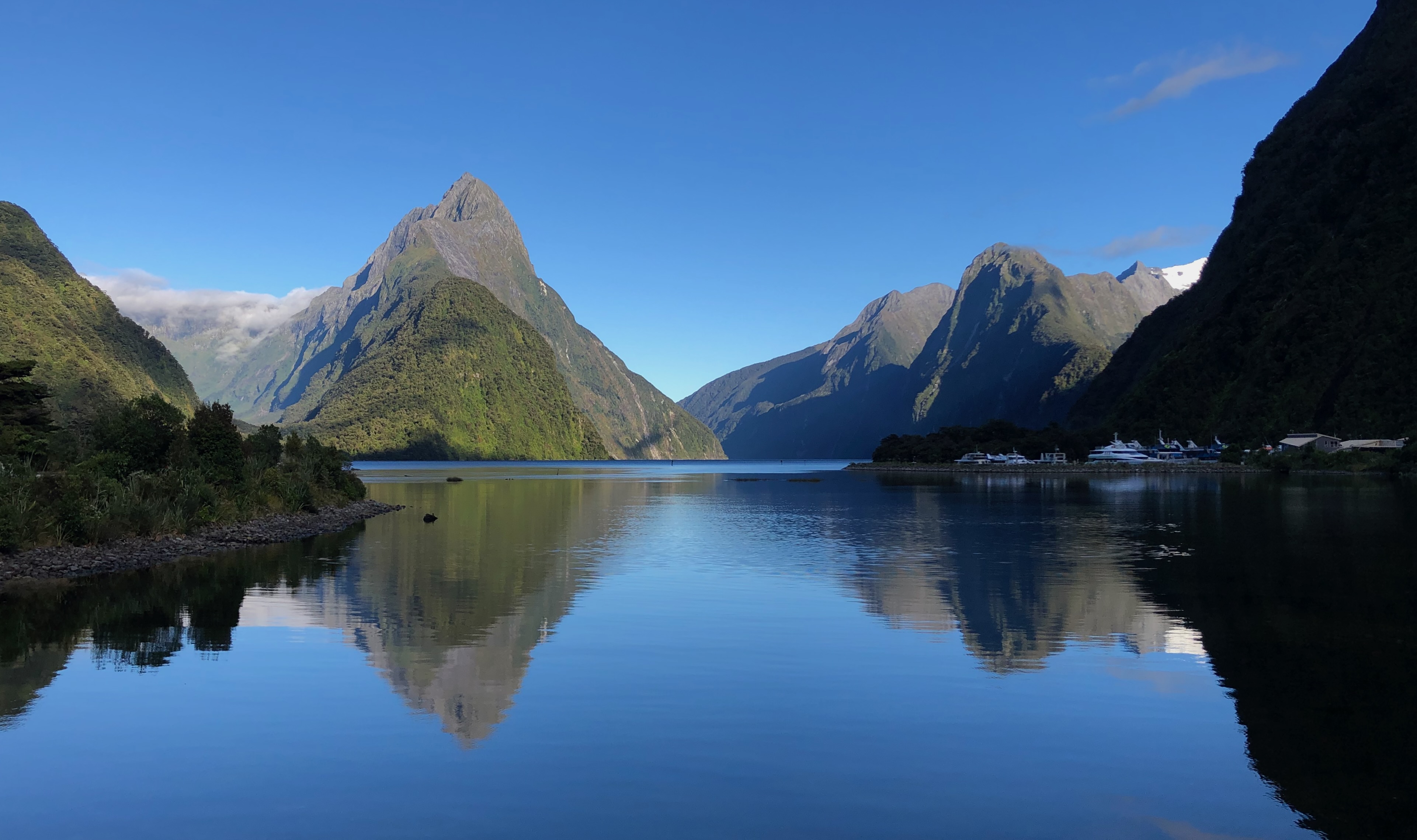 View of Milford Sound